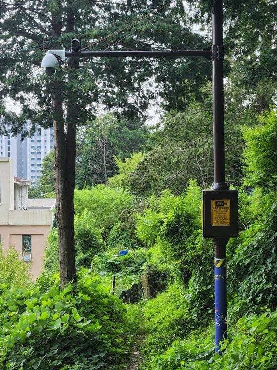 부산 시약산 살인사건이 발생한 등산로 초입에 지난 14일 폐쇄회로(CC)TV가 작동하고 있다. CCTV는 사건 발생 이후 설치됐다. 김민주 기자