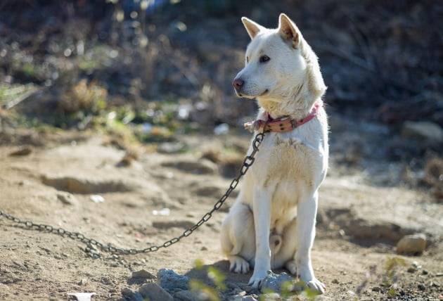 사진=게티이미지뱅크 사진=게티이미지뱅크