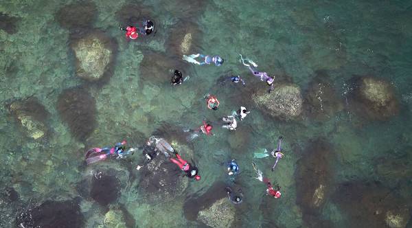 지난 7일 푸른 물결이 넘실대는 제주도 서귀포 박수기정 앞바다에서 형형색색의 잠수복을 입은 프리다이버들이 바닷속을 오가며 해양 생물들을 관찰하고 있다. 프리다이빙은 반드시 버디(동료)와 함께해야 하며, 버디 중 한 명이 다이빙할 때 그 위에서 안전사항들을 체크해야 한다.