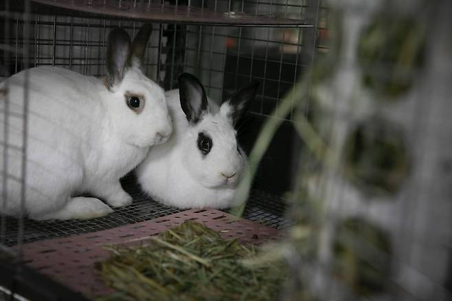 ⓒ시사IN 이명익