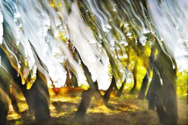 윤상민 작가의 ‘하늘을 향한 외침’