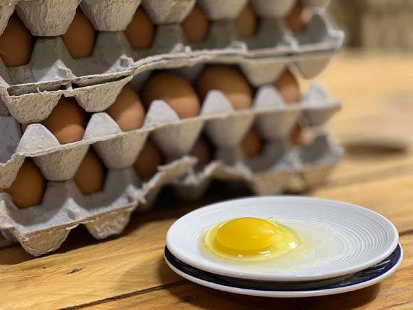 옥수수 사료를 먹이지 않은 닭의 달걀은 노른자가 진노랑이 아니라 레몬색과 비슷한 연한 색을 띤다. / 주미영 작가