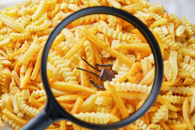 식품 내 이물질 혼합 사례가 매년 500건 내외로 발생하고 있다. /게티이미지뱅크