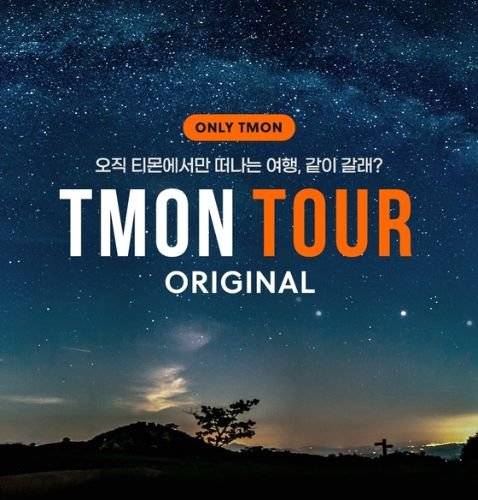 티몬이 여행 전문 스타트업과 손잡고 내 놓은 이색 여행 상품 '티몬투어 오리지널.' [사진 티몬]