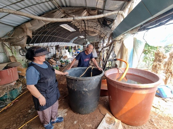 농민들이 토양소독을 위해 배양액을 준비중인 모습. / 사진제공=안성시농업기술센터