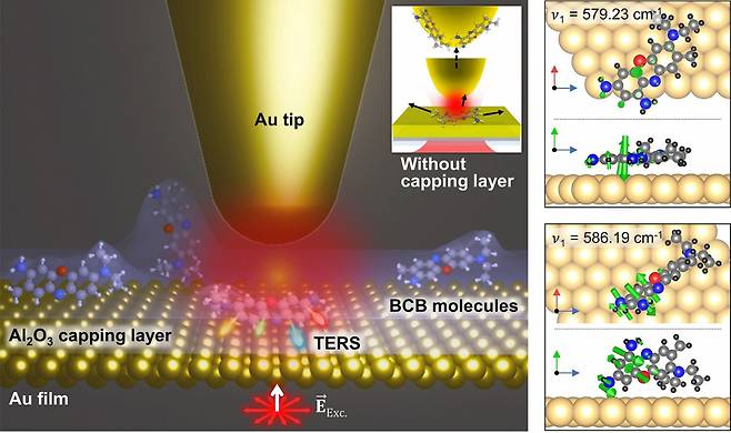 탐침증강 나노현미경을 이용해 금과 산화알루미늄 층 사이에 갇힌 분자를 관찰하는 것을 묘사한 그림(왼쪽). 분자의 배향에 따라 분자의 진동모드가 변하는 것을 시각화한 그림(오른쪽).[POSTECH 제공]