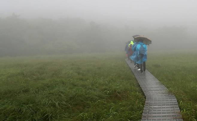 안개가 자욱한 용늪과 탐방객들[사진/조보희 기자]