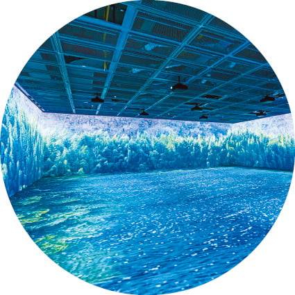 울산시립미술관
오감도 전시