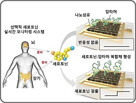 [대전=뉴시스] 전도성 나노섬유 기반의 체내 분비 신경전달물질 실시간 검출 모식도. *재판매 및 DB 금지