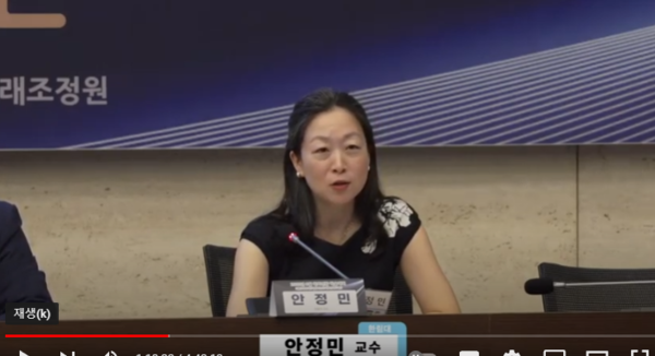 안정민 한림대 교수가 발언하는 모습. 사진=유튜브 캡쳐