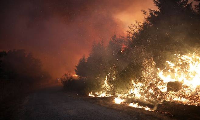 지난 18일(현지시간) 포르투갈 세하 다이스트렐라산맥 인근 고베이아서 산불이 도로를 따라 번지고 있다. 포르투갈 소방당국은 약 2주간 이 지역 산불을 진압하고 있는 중이다.&nbsp;고베이아=AP뉴시스