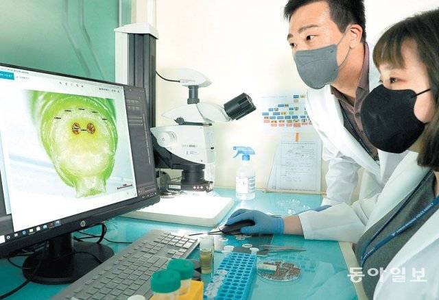 지난달 19일 충남 아산 경찰수사연수원 법곤충감정실에서 연구사들이 구더기의 모습을 현미경으로 확대해 
들여다보고 있다. 법곤충감정실에선 현장에서 채취된 구더기의 형태와 DNA를 분석해 구더기의 종류와 성장 정도를 파악하고, 이를 
바탕으로 사망자의 사망 시간을 추정한다. 아산=신원건 기자 laputa@donga.com