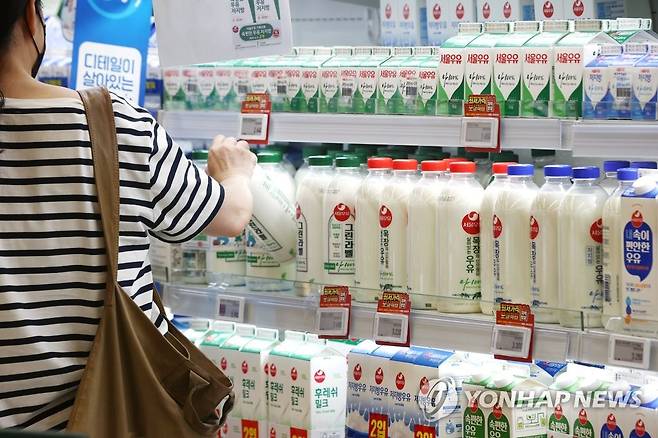 서울 시내 한 대형마트의 우유 판매대 [연합뉴스 자료사진. 재판매 및 DB 금지]