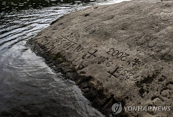 2018년 독일 피르나 인근 엘베강에서 목격된 기근석  [EAP 연합뉴스 자료사진. 재판매 및 DB 금지]