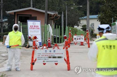 양구 양돈농가 ASF 발생 [연합뉴스 자료사진]