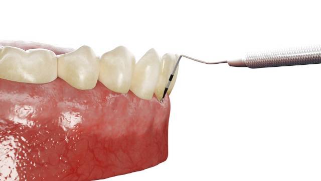 클립아트코리아 제공