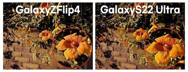 (좌) 갤럭시Z플립4 (우)갤럭시S22울트라