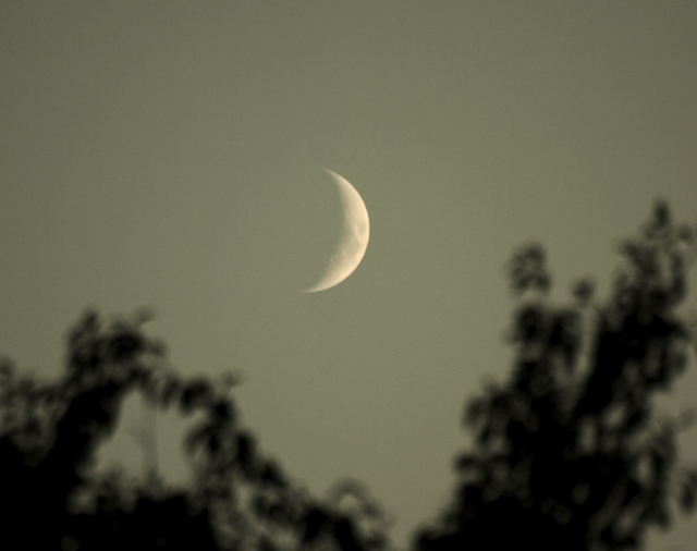 ⓒ게티이미지뱅크