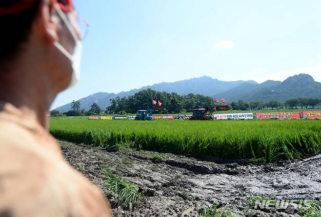 [영암=뉴시스] 김혜인 기자 = 한 농민이  '쌀값 폭락 규탄! 영암 농민 총궐기대회가 열린 26일 오전 전남 영암군 군서면에서 갈아엎은 논을 바라보고 있다. 2022.08.26.hyein0342@newsis.com