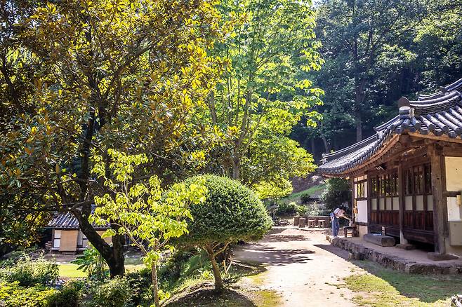'불일암'은 법정 스님이 17년 간 머문 곳으로 법정의 주옥같은 서적이 이곳에서 탄생했다. '침묵'이란 글귀가 차지한 암자엔 새, 풀벌레 소리만 가득하다. / 이신영 영상미디어 기자