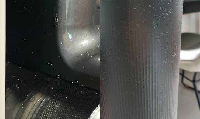 무선청소기와 자동먼지비움거치대 표면에 하얀 가루가 묻어있다. 집진드기의 일종인 '가루응애'다. /독자 제공 및 블로그(blog.naver.com/lmj7369) 캡처