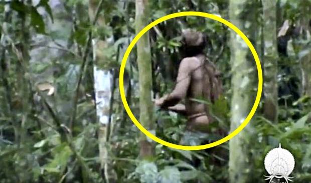 브라질 국립원주민재단(Funai)이 2011년 제공한 촬영 날짜 미상의 비디오로 아마존 열대우림 원주민의 모습이 보인다. 이 재단은 약 20여년 간의 추적 끝에 아마존 열대우림에서 홀로 살아가는 원주민을 발견해 사진에 담는 데 성공했다고 국영 뉴스통신 아젠시아가 21일(현지시간) 보도했다. 재단측은 이 원주민은 지난 1995년 말 불법 벌목업자들에 저항하던 소수 부족민 6명 중 유일하게 살아남은 한 명으로 끈질긴 추적 끝에 2012년 이 원주민이 옥수수·감자 등의 재배와 사냥으로 살아가는 흔적을 발견했다고 밝혔다. 상파울루 AP 연합뉴스