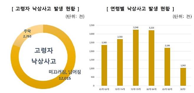 고령자 낙상사고 현황  [한국소비자원 제공. 재판매 및 DB 금지]