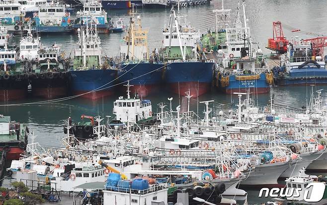 제11호 태풍 '힌남노'가 북상하는 가운데 1일 부산 동구 부산항 제5부두에 선박들이 피항해 있다. 2022.9.1/뉴스1 ⓒ News1 김영훈 기자