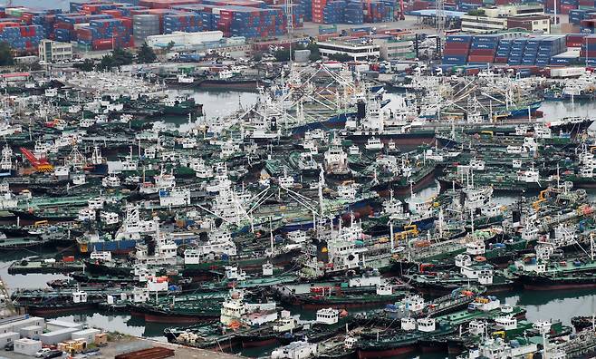 제11호 태풍 힌남노가 북상중인 4일 부산항 5부두가 대피한 선박들로 가득하다. /연합뉴스