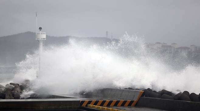 제11호 태풍 '힌남노'가 점차 북상하고 있는 4일 제주 서귀포시 남원읍 표선면 해상에 거대한 파도가 방파제에 부딪혀 물보라를 일으키고 있다. /뉴스1