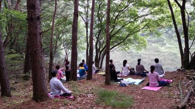 종교적 색채를 덜어내고 과학적 검증을 거친 마음챙김(mindfulness) 명상이 미국과 유럽을 중심으로 대중화되면서 한국에서도 관심이 높아지고 있다. 한국MBSR연구소 제공