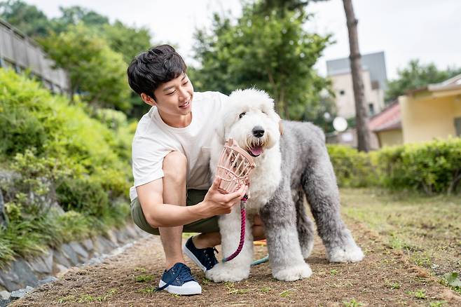 애초에 개 물림 사고가 일어나지 않도록 견주의 ‘반려견 관리 책임’을 강화해야 한다는 목소리도 나온다. 법적으로 맹견에 속하지 않더라도, 사람을 문 적이 있거나 공격성이 강한 견종이라면 외출 시 입마개를 착용시키고, 목줄 길이도 적절하게 조절해 견주가 통제할 수 있도록 해야 한다는 것이다. (사진 출처=게티이미지뱅크, 이해를 돕기 위한 이미지로 기사 내용과 직접 관련 없음)