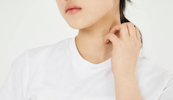 사진은 기사의 특정 사실과 관련 없음. 이미지투데이