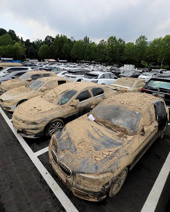 경기 과천시 서울대공원 주차장에 마련된 보험사 침수차량 집결 장소에 8일 폭우로 수도권에서 침수 피해를 본 차량이 모여있다. 뉴스1