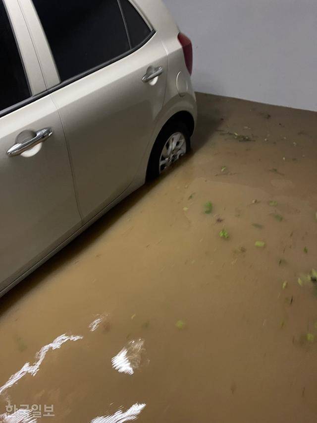 ④경북 포항 인덕동 아파트 지하주차장에 물이 차오르면서 주차된 차량이 잠기고 있다.
