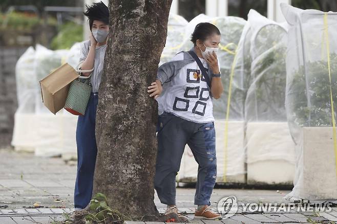 태풍 '힌남노'에 휘청이는 일본 보행자들 (나라현 AP=연합뉴스) 지난 4일 일본 오키나와 나라현에서 태풍 '힌남노'의 영향으로 강풍이 불자 보행자들이 나무를 잡고 버티고 있다. 이날 오키나와에서는 주민들에 대규모 피난 지시가 내려지고 주택들이 정전됐다. 일본 기상청은 힌남노가 오키나와 본섬과 대만 사이를 통과해 한반도에 접근하고 있다고 밝혔다. 2022.09.04 ddy04002@yna.co.kr