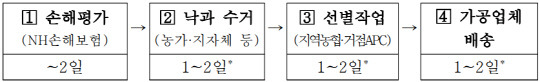 태풍 피해 낙과 가공용수매 업무 프로세스. 자료=농림축산식품부 제공