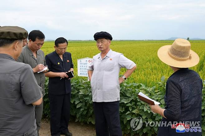 북한 김덕훈 내각총리, 사리원시 미곡농장 현지 요해 (평양 조선중앙통신=연합뉴스) 북한 김덕훈(오른쪽 두번째) 내각총리가 황해북도 사리원시 미곡농장을 현지에서 요해(파악)했다고 조선중앙통신이 28일 보도했다. 2022.8.28 
    [국내에서만 사용가능. 재배포 금지. For Use Only in the Republic of Korea. No Redistribution] nkphoto@yna.co.kr