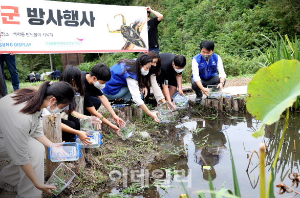 ▲13일 아산시 동화리 반딧불이 서식지에서 열린 물장군 방사행사에서 삼성디스플레이 자원봉사자와 송남중학교 학생들이 물장군을 놓아주고 있는 모습.(사진=삼성디스플레이)