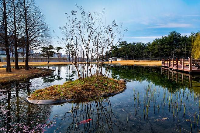 삼성전자 화성 사업장 '그린센터'를 통해 정화된 물로 조성한 연못 모습(삼성전자 제공)