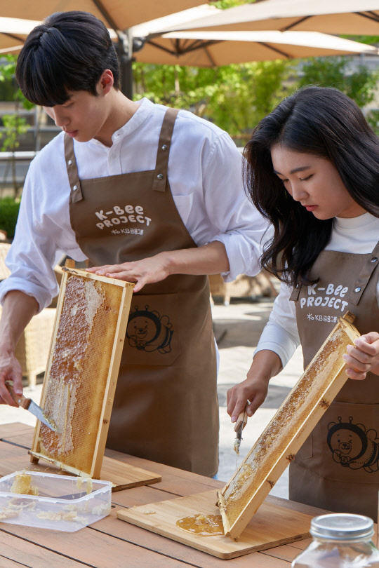 KB금융 황선우 선수와 이예원 선수가 국민은행 본점 옥상에 조성된 'K-Bee 도시양봉장'에서 올해 첫번째 꿀 수확 행사에 나섰다. KB금융그룹 제공