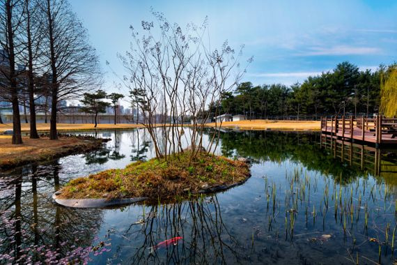 삼성전자 화성 사업장 '그린센터'를 통해 정화된 물로 조성한 연못 모습. 삼성전자 제공