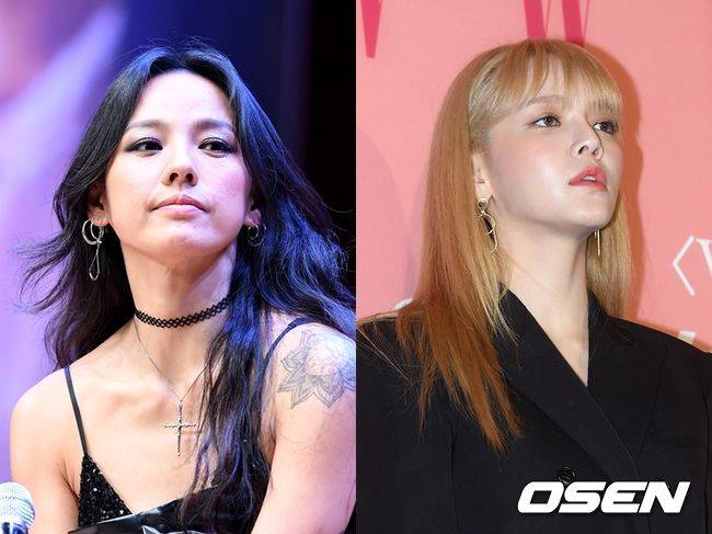 가수 이효리(왼쪽)가 AOA 출신 지민이 힘든 시기에 손을 내밀었다. OSEN DB
