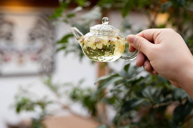 Plum blossom flower tea (Tea Story's Instagram)