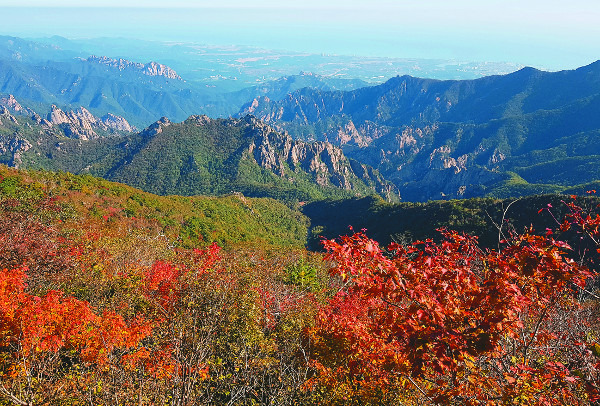 설악산의 단풍. 연합뉴스