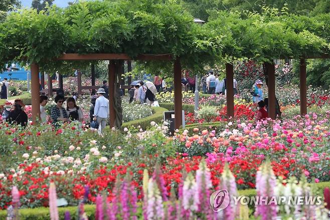 곡성군, 섬진강 기차마을 [연합뉴스 자료사진]