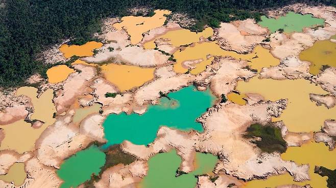 세계 최대의 숲이 빠르게 사라지고 있다