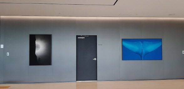 서울 종로구 법무법인 태평양에 걸려 있는 브라이언 오스틴의 작품들. 왼쪽은 2016년 작 'I'm Here', 오른쪽은  2009년 작 'A Farewell' /태평양