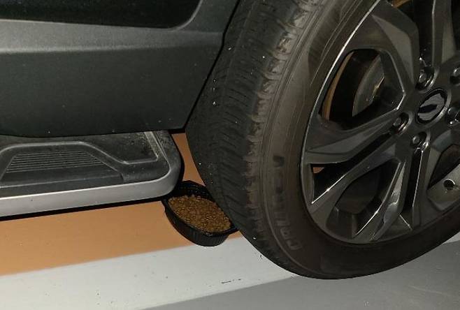 지난 10일 온라인 커뮤니티 사이트 ‘보배드림’에 올라온 이른바 ‘캣맘·캣대디 갈등’ 관련 게시물 사진. 지하 주차장 내 차량 아래에 고양이 사료 그릇이 놓여 있다. (사진 출처=보배드림)