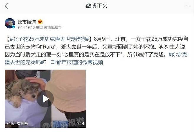 '25만 위안 투자해 죽은 애완견 복제 성공' 게시글 (사진='도시 보고서' 웨이보 캡처)